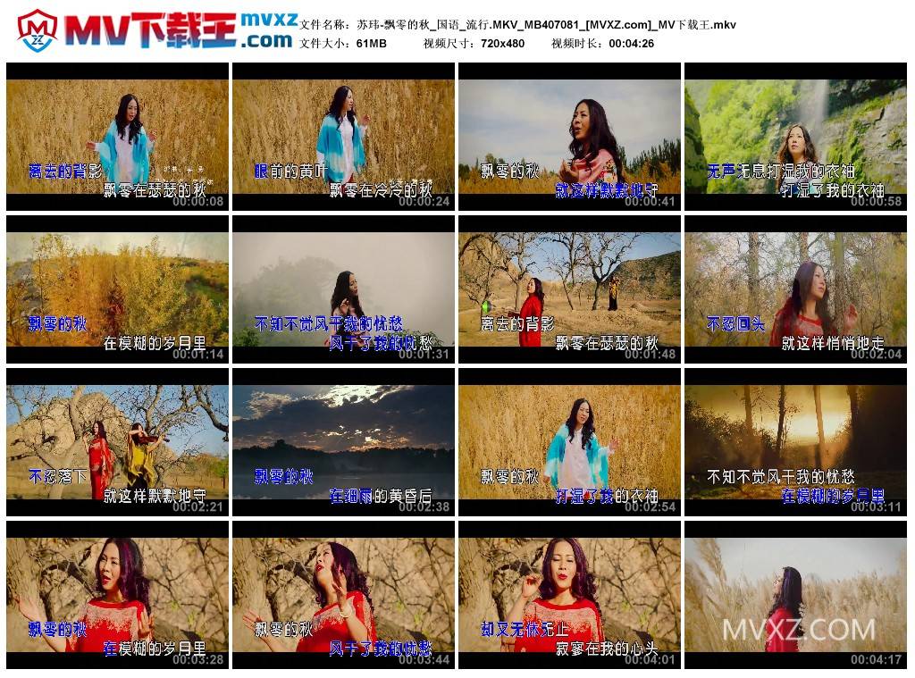 苏玮-飘零的秋_国语_流行.MKV_MB407081